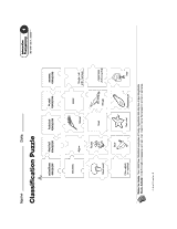 Classification Puzzle