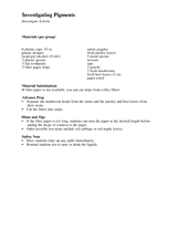 Investigate Activity: Investigating Pigments