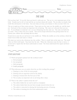 Science Reading Warm-Up: The Human Ear